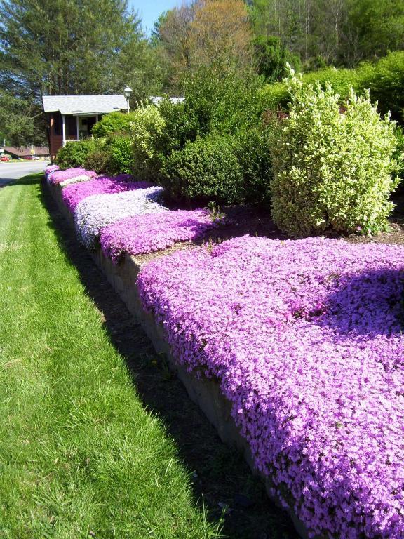 Parkway Inn Waynesville Buitenkant foto